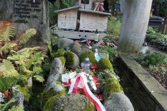 gubalowka_i_zakopane_054