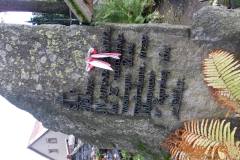 gubalowka_i_zakopane_057