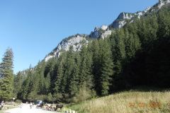 dolina-koscielisko_034