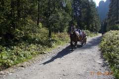 dolina-koscielisko_049