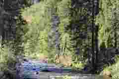 dolina-koscielisko_056