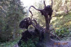 dolina-strazyska_016