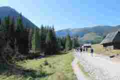 dolina-chocholowska_049