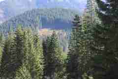 dolina-chocholowska_051