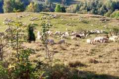 beskid2024_016