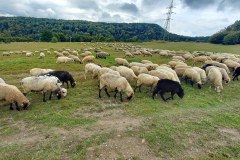 beskid2024_059
