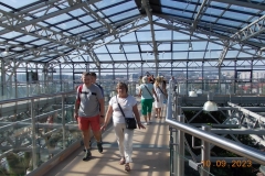 zielona-gora_016