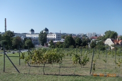zielona-gora_027