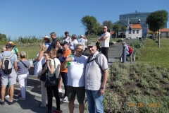 zielona-gora_030