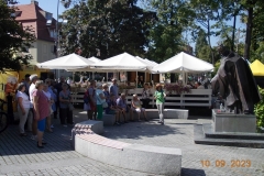 zielona-gora_073