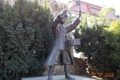 zielona-gora_082