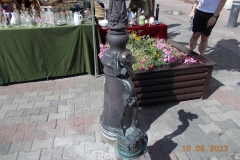 zielona-gora_089