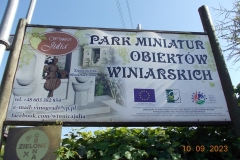 zielona-gora_098
