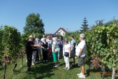zielona-gora_104