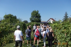 zielona-gora_105