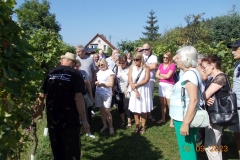 zielona-gora_107