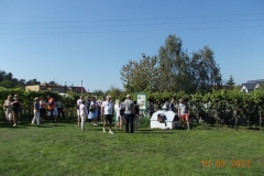 zielona-gora_117