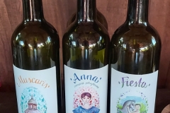 zielona-gora_A01