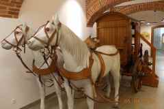 ratusz_008