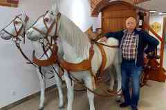ratusz_020
